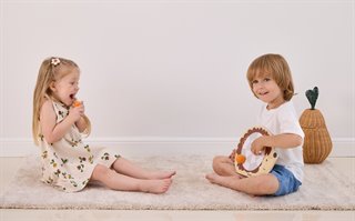 PolarB® Wooden Hedgehog Target Game